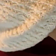 https://dogjoa84.net/data/file/best/thumb-15793707056897_80x80.png