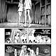 https://dogjoa84.net/data/file/manga/thumb-16667544033847_80x80.jpg