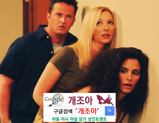 다닥다닥 붙은 뉴질랜드 집 구조의 맹점 이미지 #1