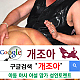 https://dogjoa84.net/data/file/study/thumb-1589199608669_80x80.png
