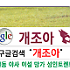 https://dogjoa84.net/data/file/study/thumb-15916620204625_80x80.png